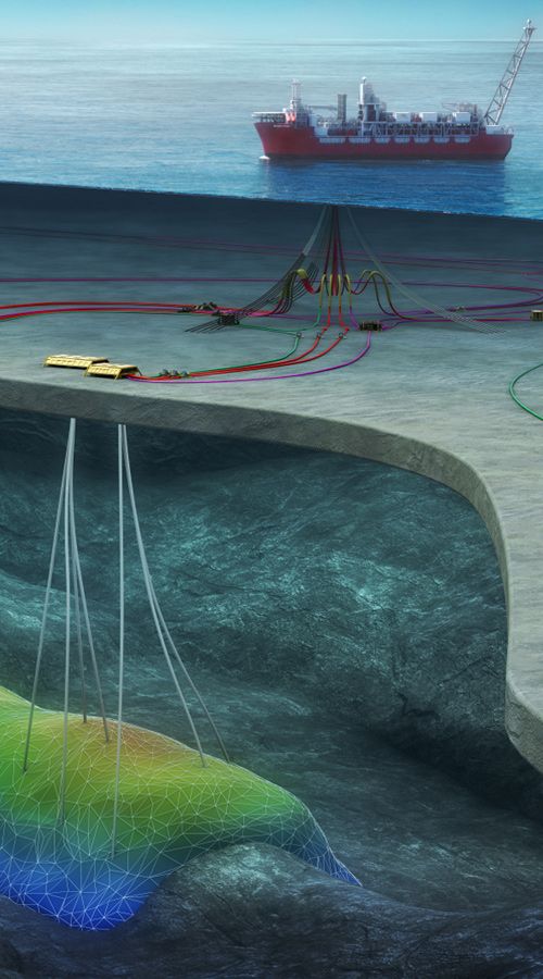 Grafische Darstellung des Ærfugl Projekts