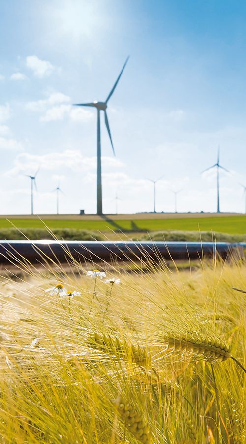 CO2-Neutralität