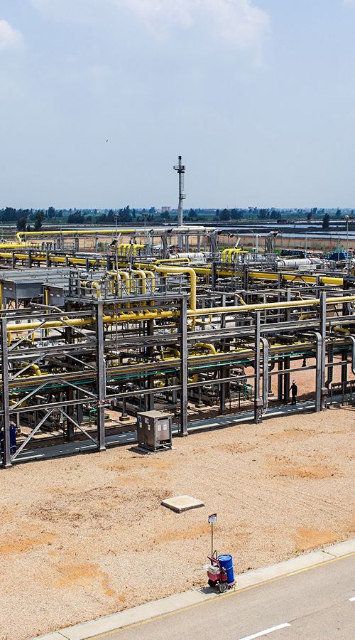 Wintershall Dea First Gas East Danamhur